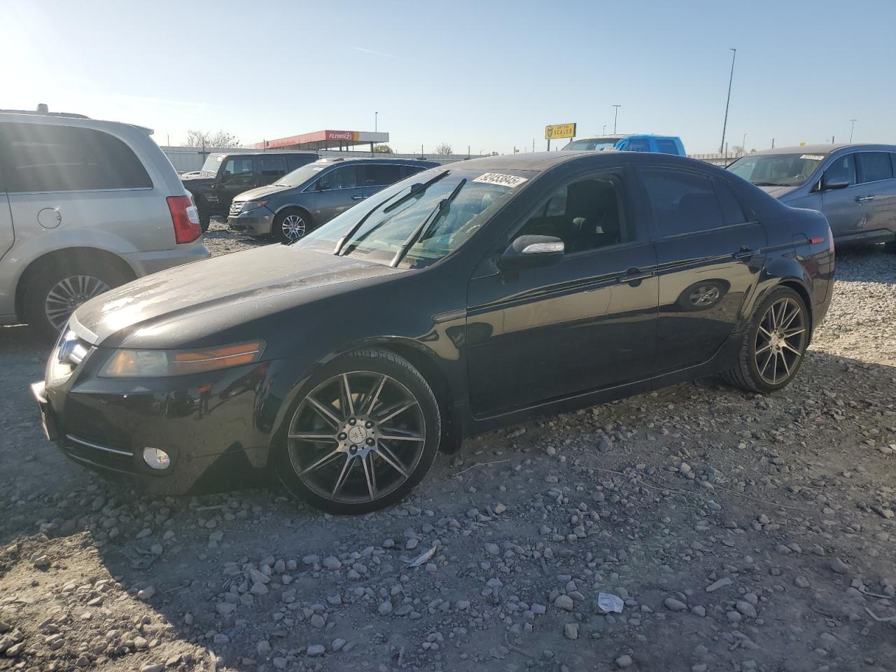Lot #3297321409 2008 ACURA TL