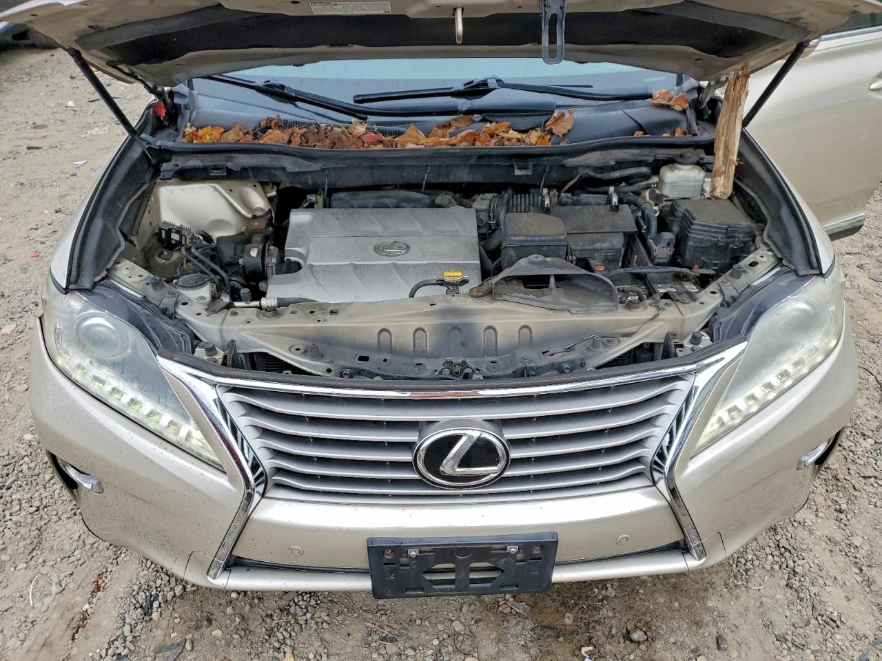 Lot #3302841936 2014 LEXUS RX 350 BAS