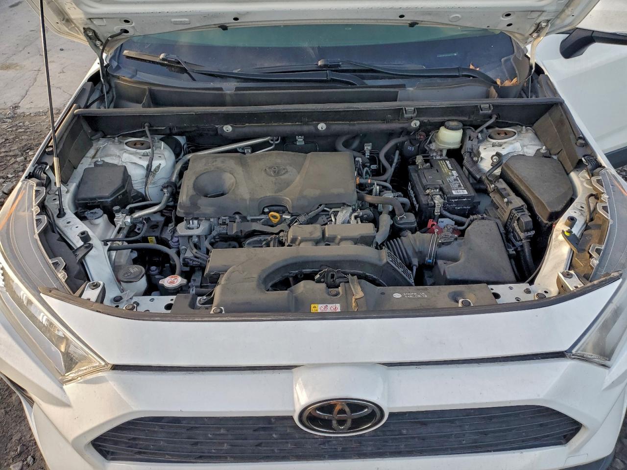 Lot #3308459302 2019 TOYOTA RAV4 XLE