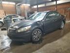 Lot #3304745005 2011 HONDA ACCORD EX