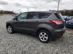 Lot #3305323322 2016 FORD ESCAPE SE