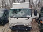 Lot #3304602485 2024 ISUZU NPR HD