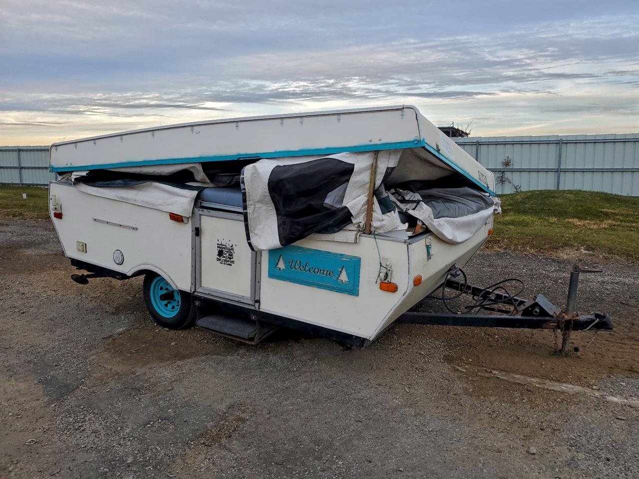 Lot #3302905005 2003 PALOMINO PALOMINI