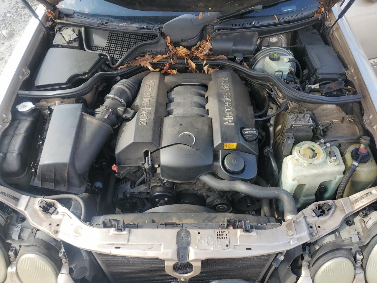 Lot #3288478515 2002 MERCEDES-BENZ E 320