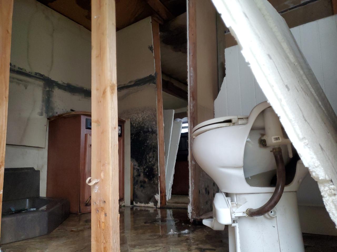 Lot #3309648943 2014 NRTH ARTIC FOX