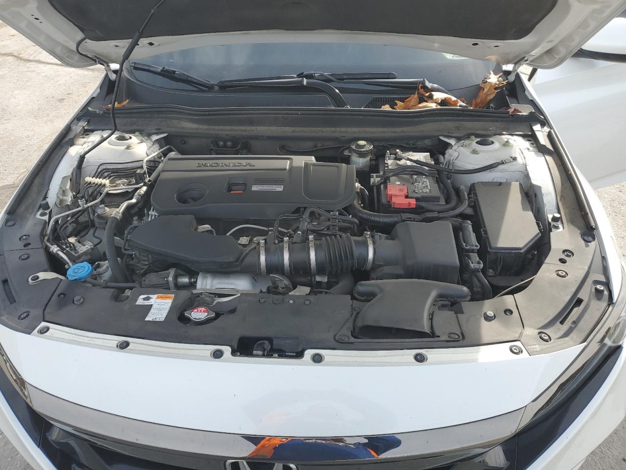 Lot #3308407308 2018 HONDA ACCORD SPO