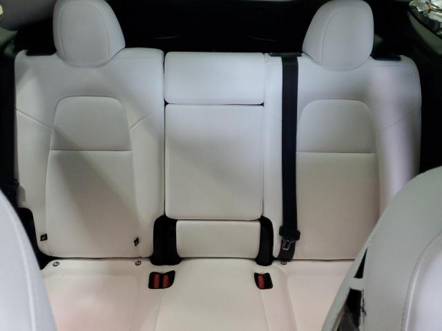 2025 TESLA MODEL Y #3302759387