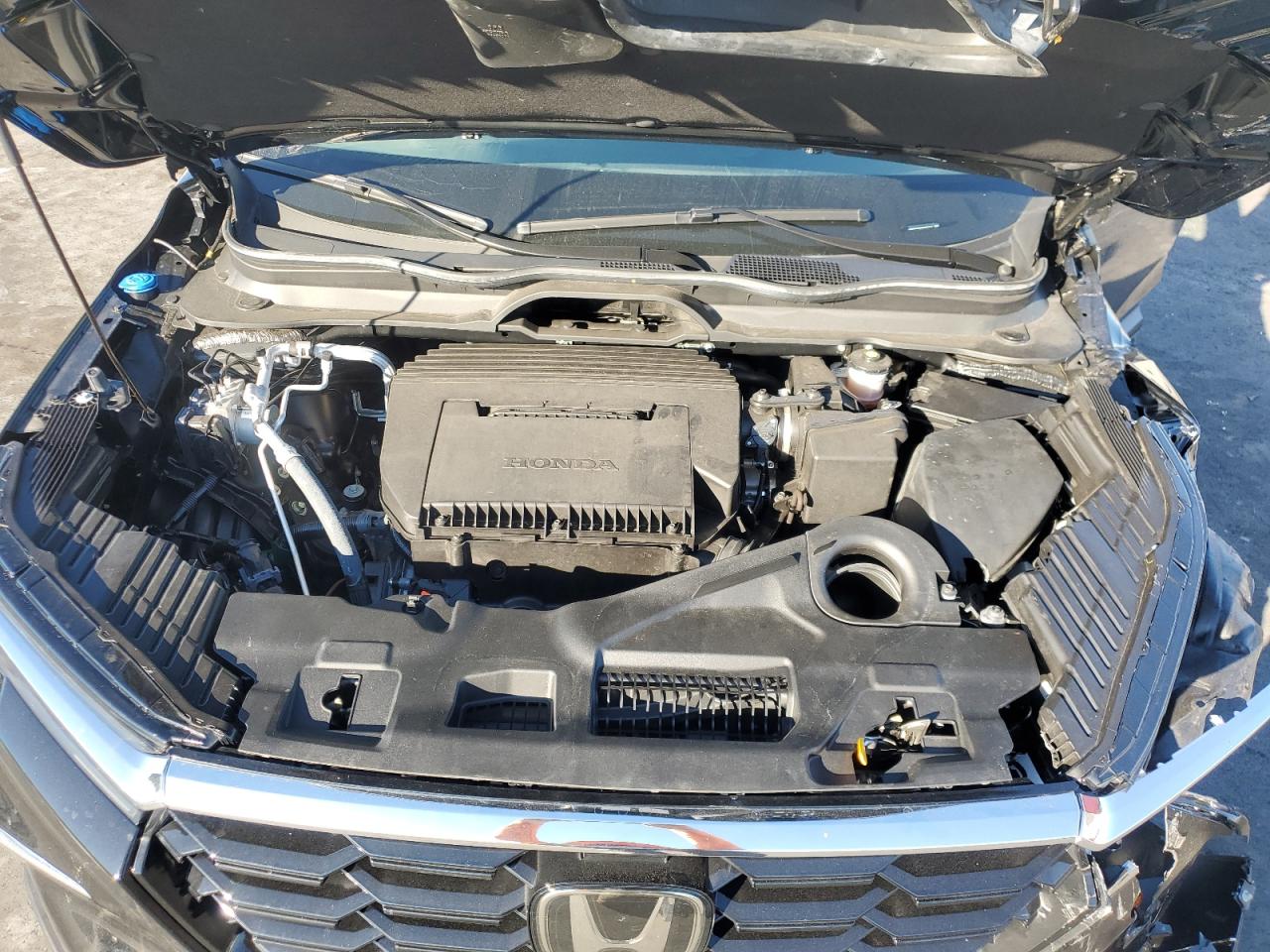 Lot #3302729079 2025 HONDA PILOT TOUR