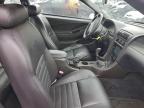 Lot #3312568183 2003 FORD MUSTANG GT