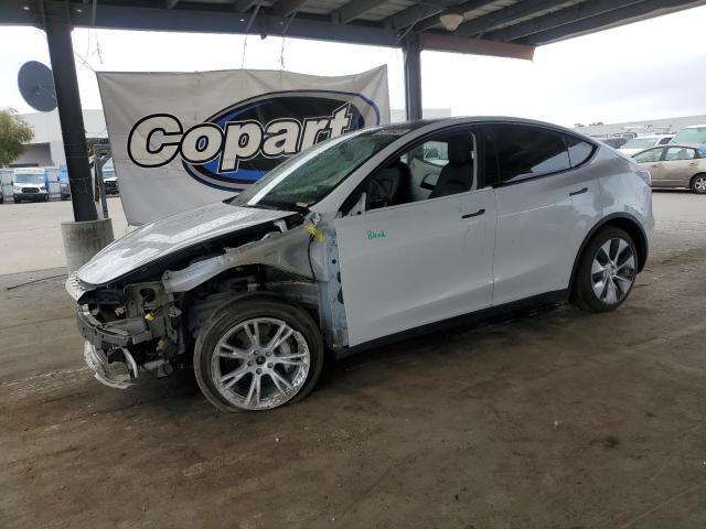 Global Auto Auctions: 2021 TESLA MODEL Y