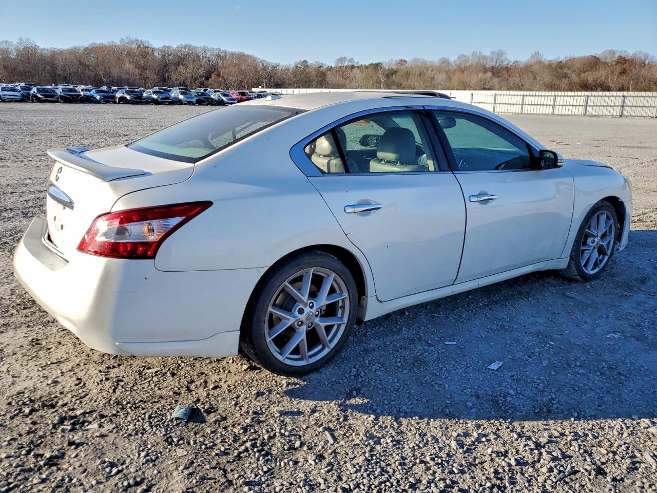 Lot #3301855978 2009 NISSAN MAXIMA S