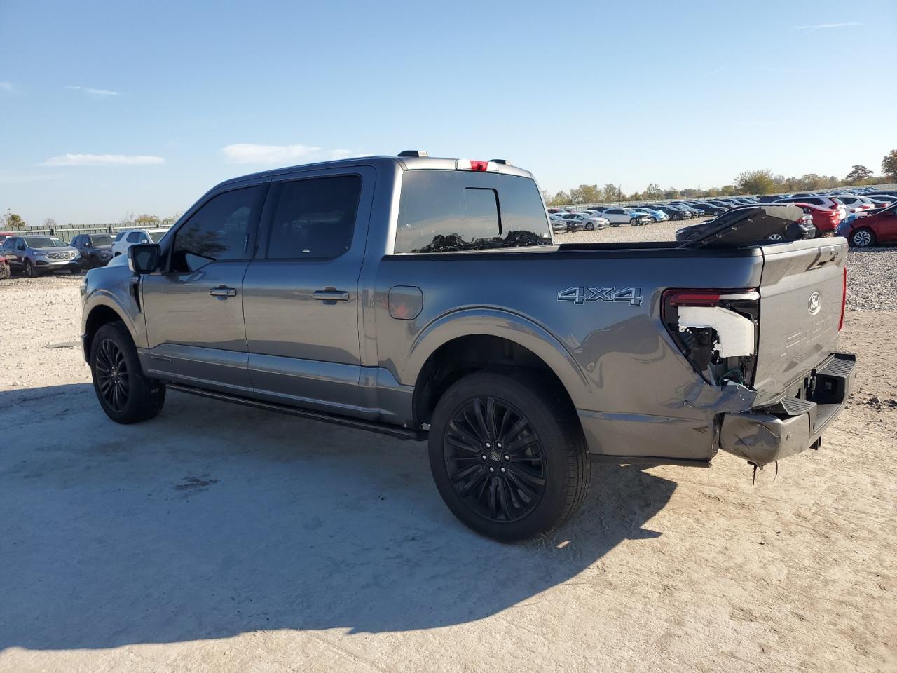 FORD F-150 PLATINUM