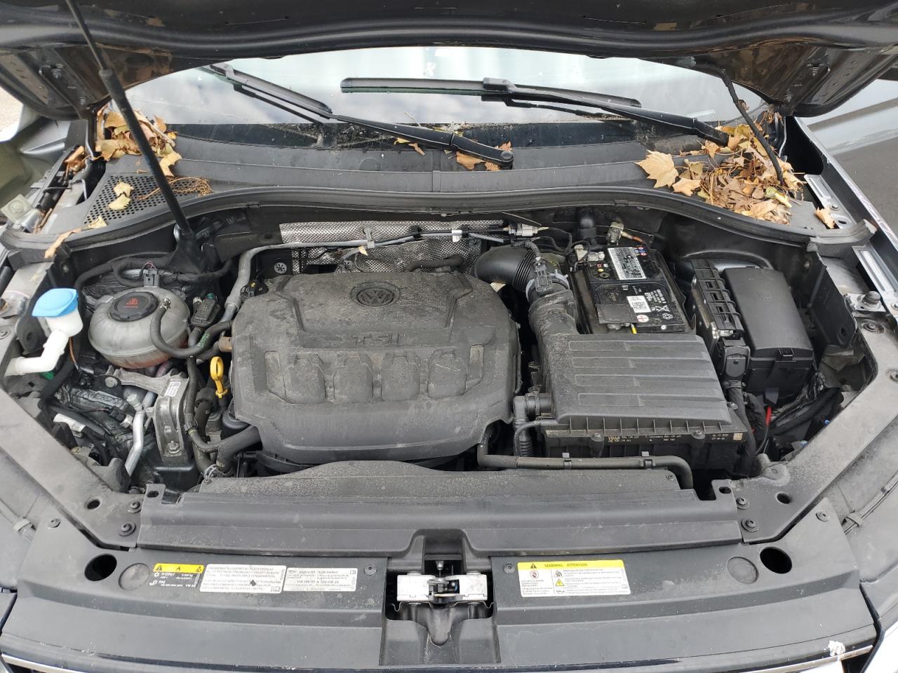 VOLKSWAGEN TIGUAN SE