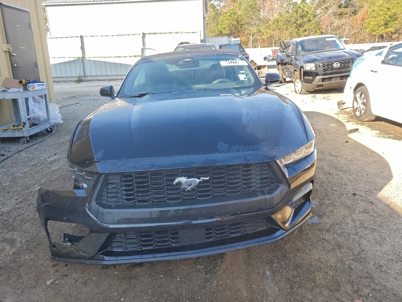 Lot #3303658932 2025 FORD MUSTANG