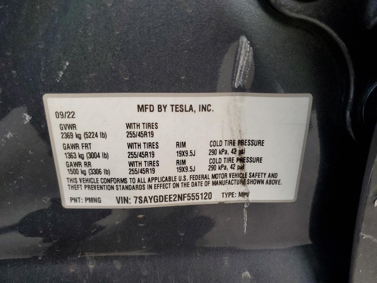 TESLA MODEL Y