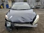 Lot #3296212464 2009 TOYOTA COROLLA MA