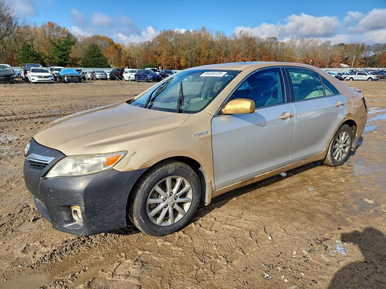 TOYOTA CAMRY HYBRID