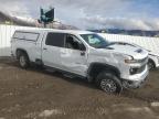 Lot #3292564690 2024 CHEVROLET SILVERADO K2500 HEAVY DUTY LT