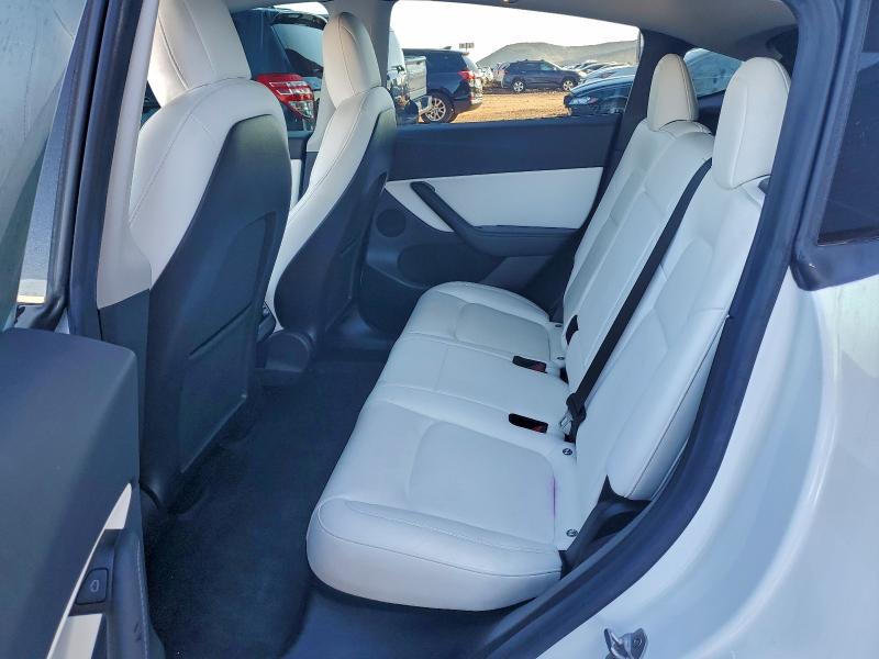 2021 TESLA MODEL Y #3301716445