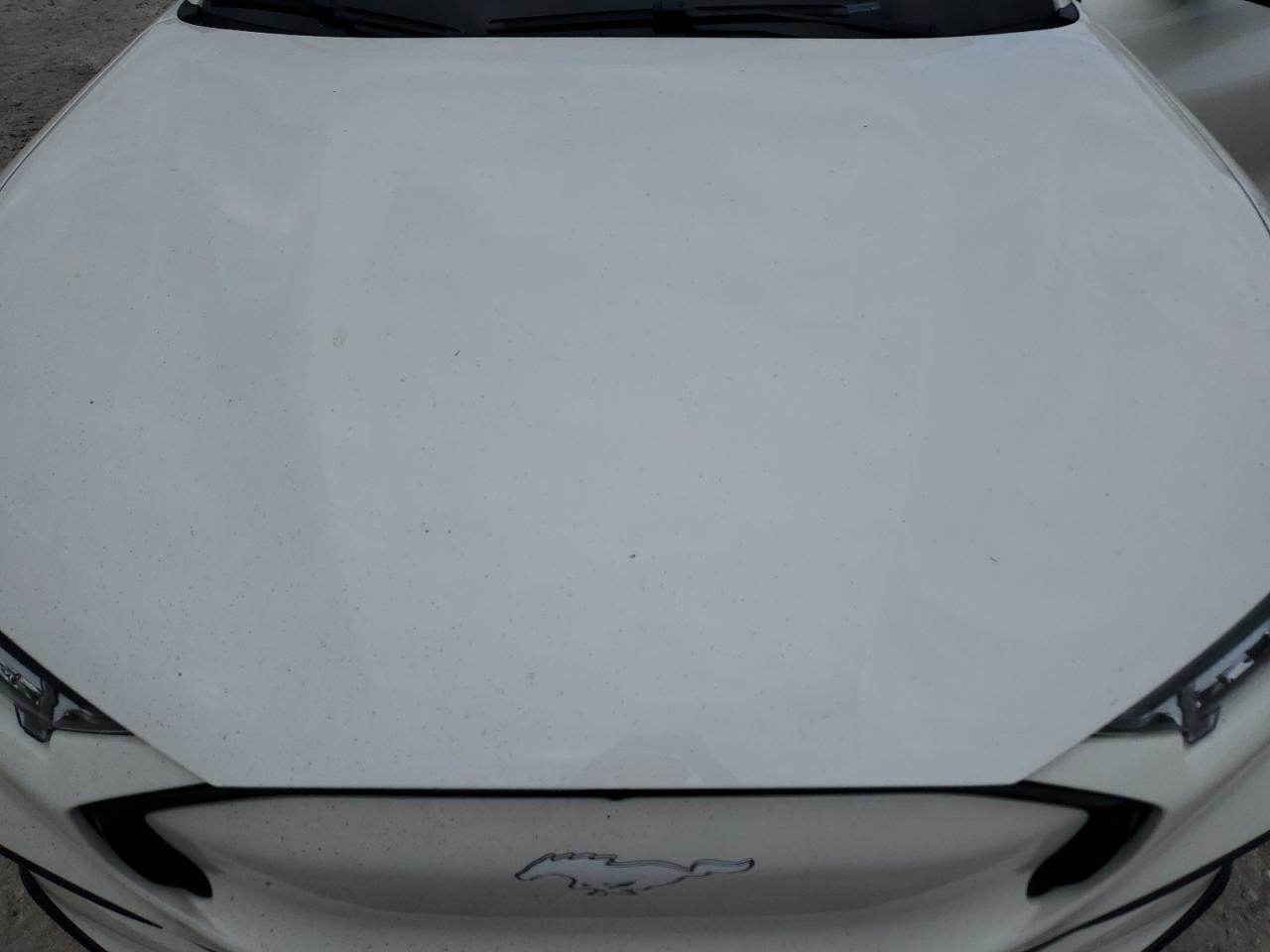 FORD MUSTANG PREMIUM