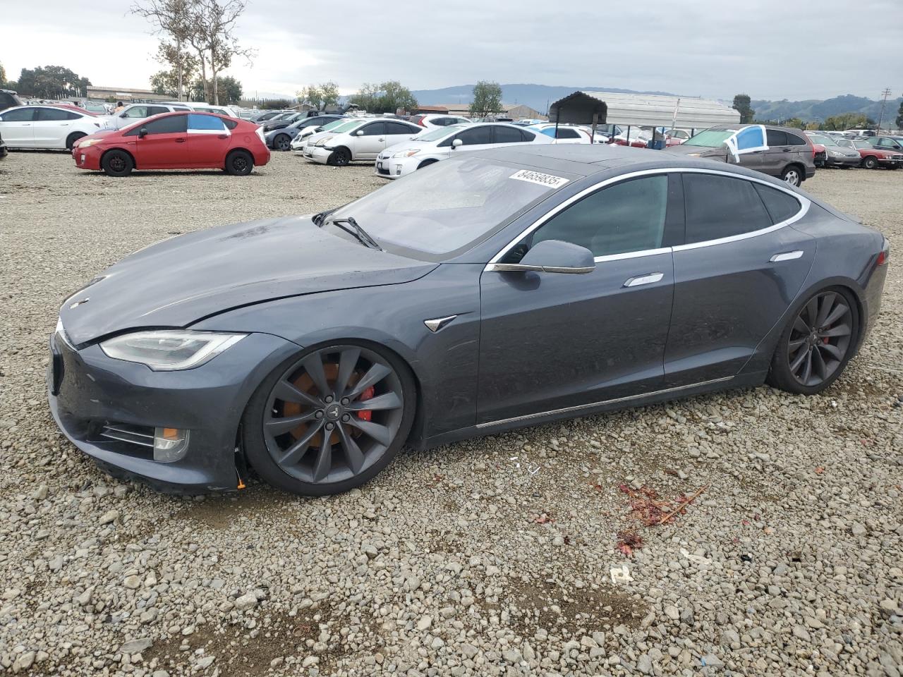 TESLA MODEL S