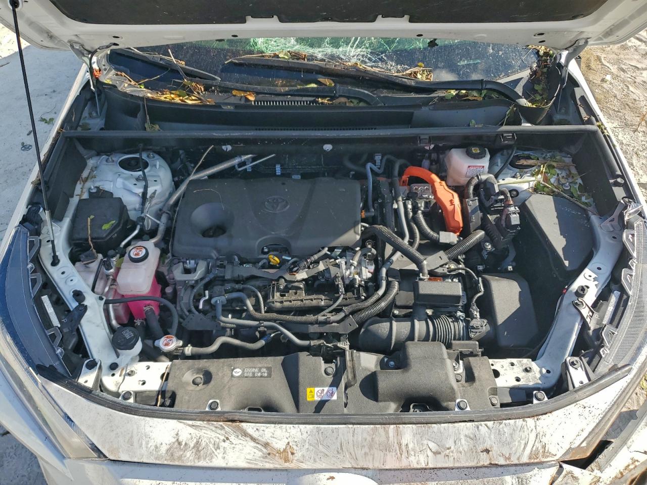 Lot #3317916933 2024 TOYOTA RAV4 XSE