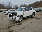 Lot #3298029163 2017 TOYOTA 4RUNNER SR