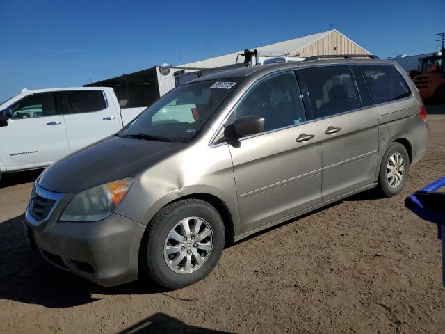 Global Auto Auctions: 2010 HONDA ODYSSEY EX