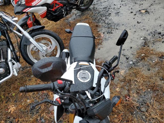 2026 HONDA GROM 125 #3304538454