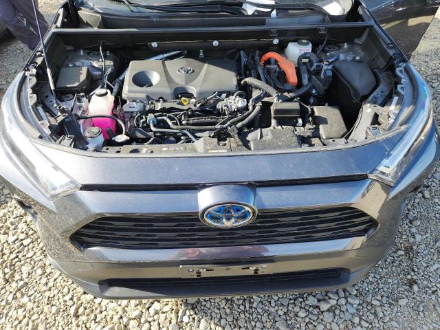 2024 TOYOTA RAV4 XLE P #3304023588