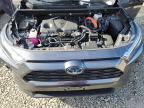 Lot #3304023588 2024 TOYOTA RAV4 XLE P