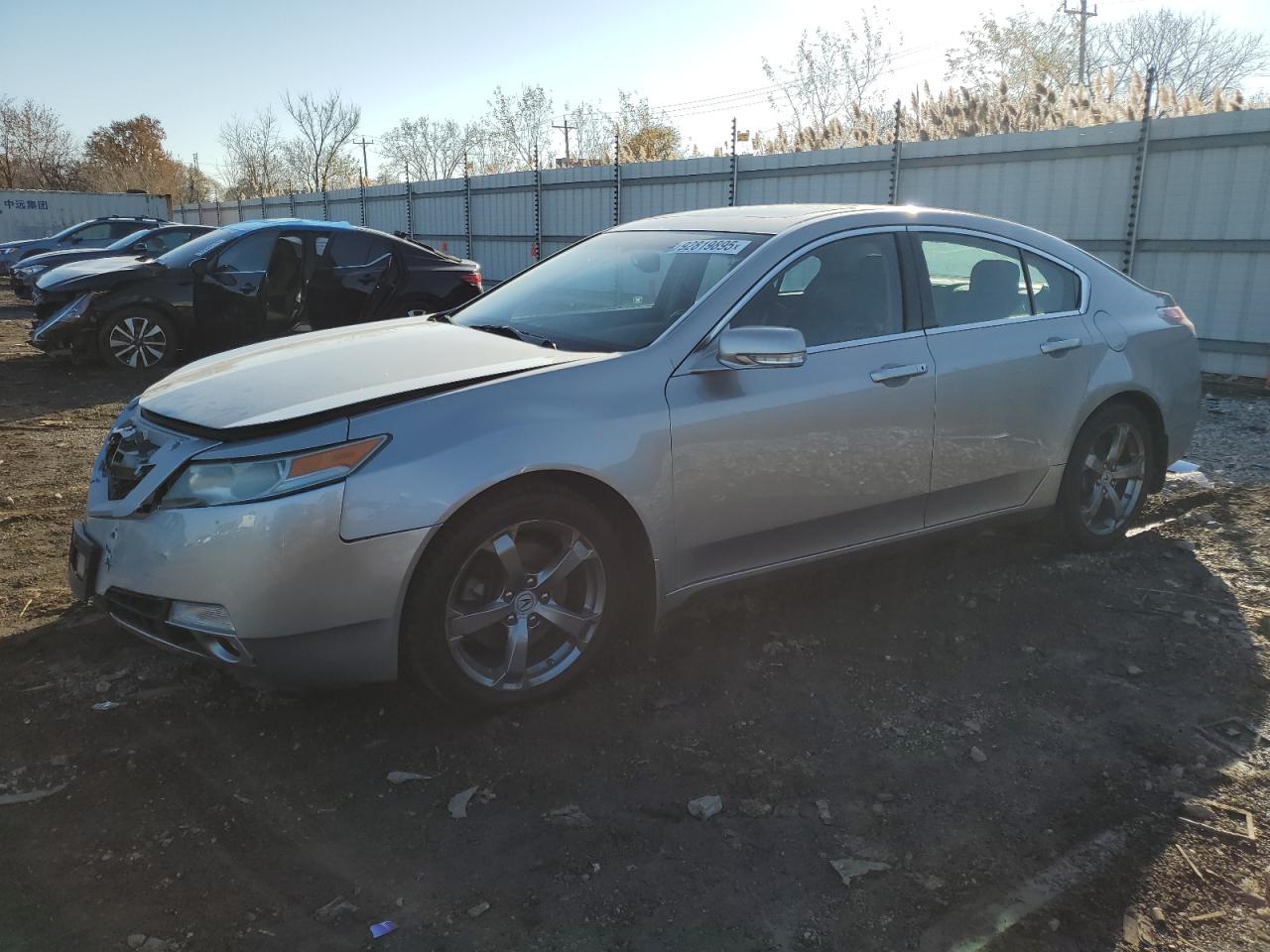 Lot #3316763409 2011 ACURA TL