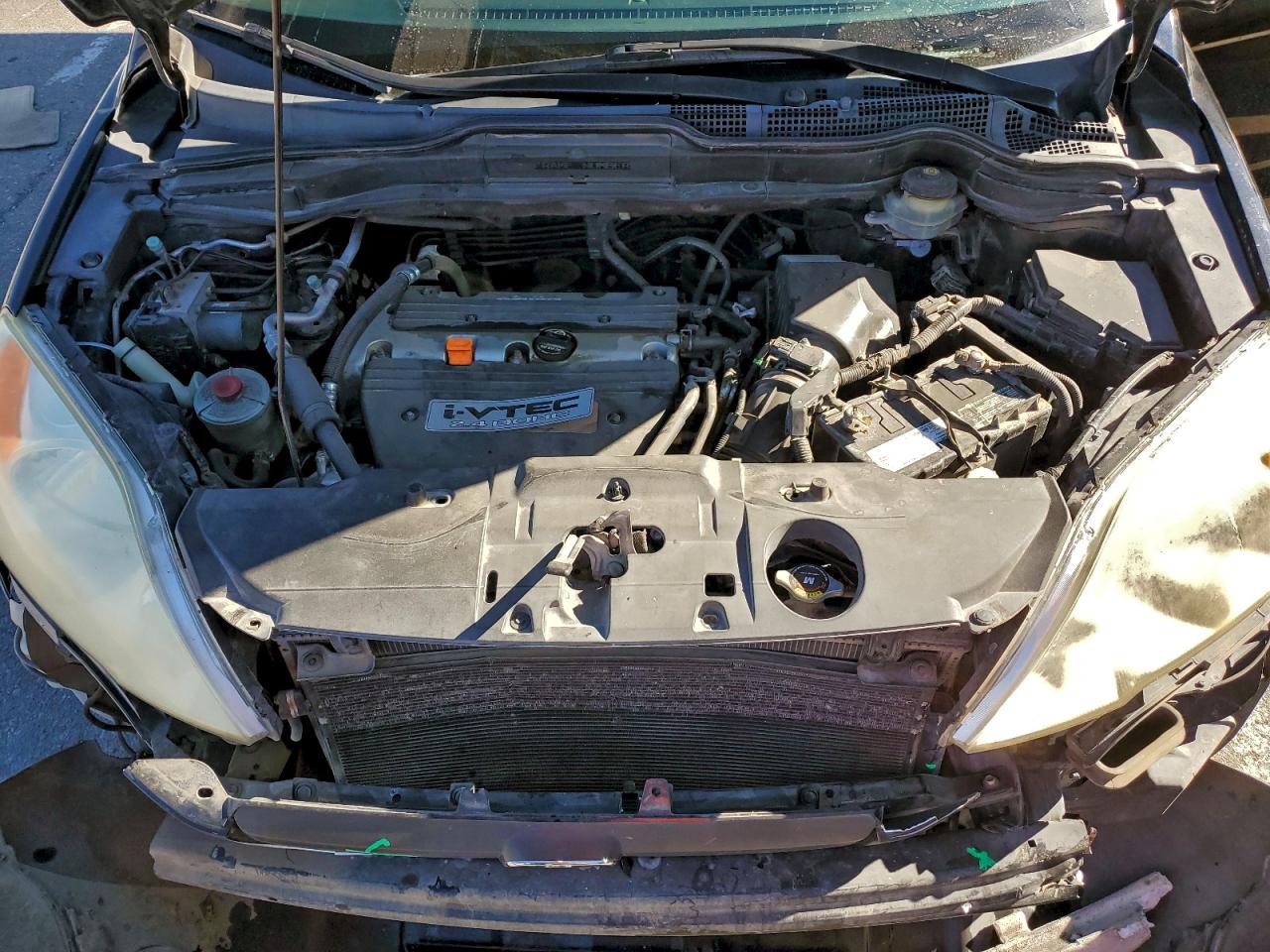 Lot #3304534434 2007 HONDA CR-V LX