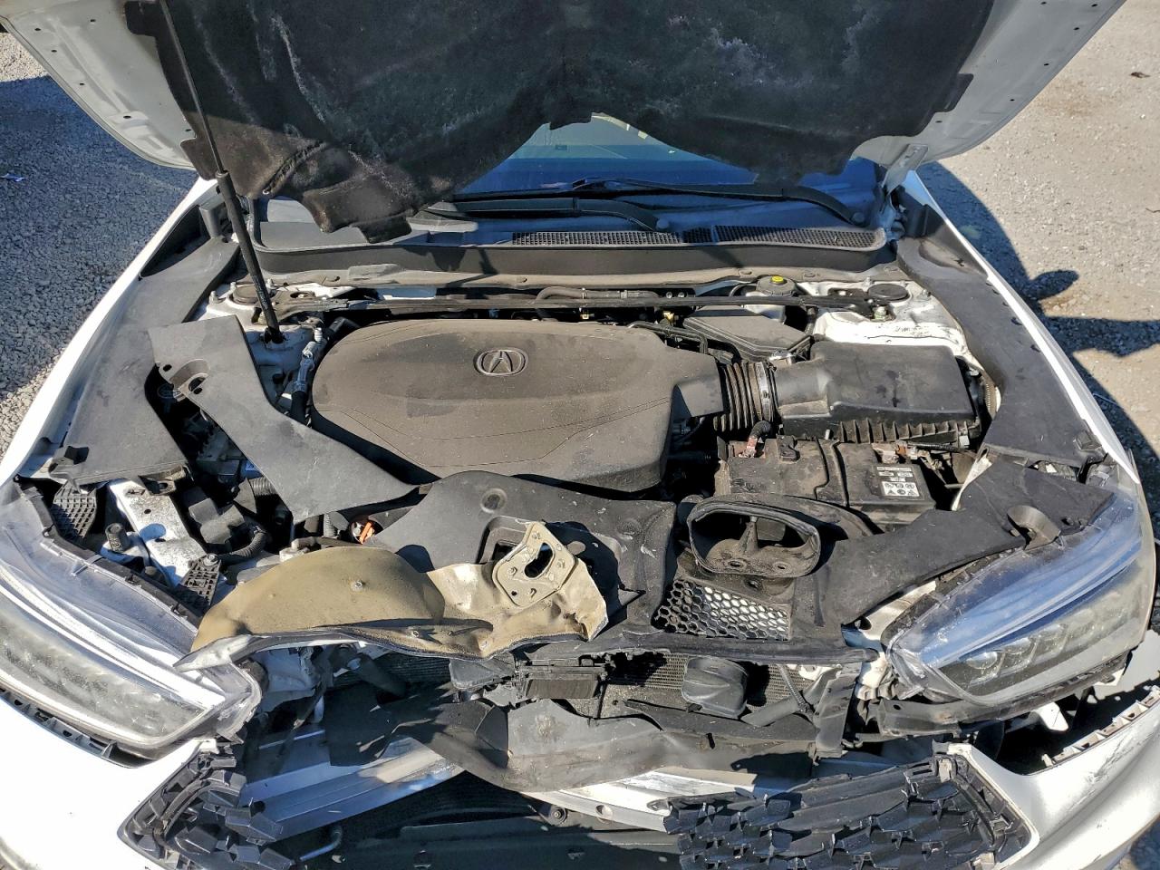 Lot #3308381310 2018 ACURA TLX TECH