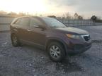 Lot #3304750930 2011 KIA SORENTO