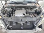 Lot #3297926778 2005 LEXUS RX 330