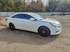 Lot #3304566472 2013 HYUNDAI SONATA GLS