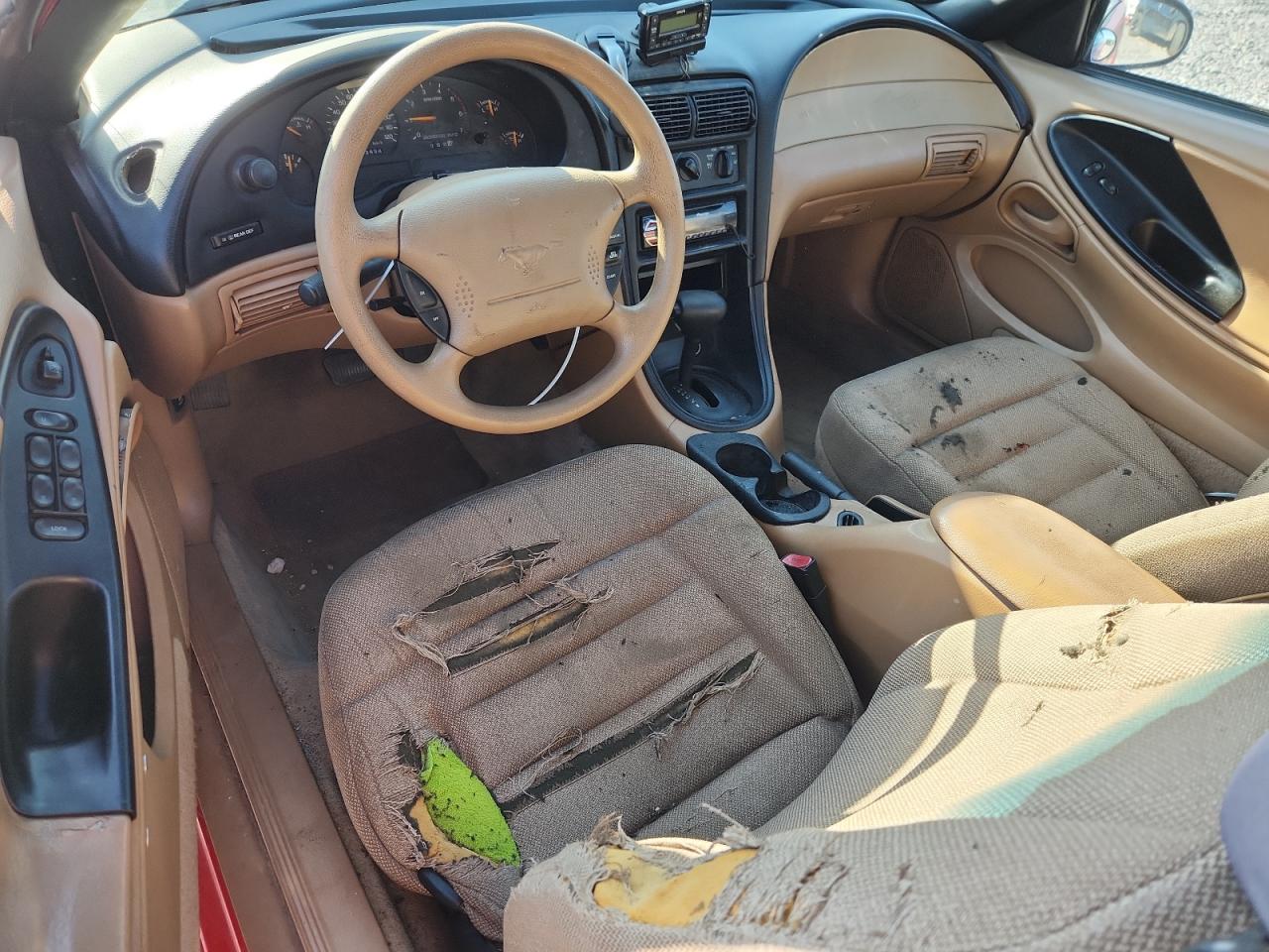 Lot #3296247409 1998 FORD MUSTANG