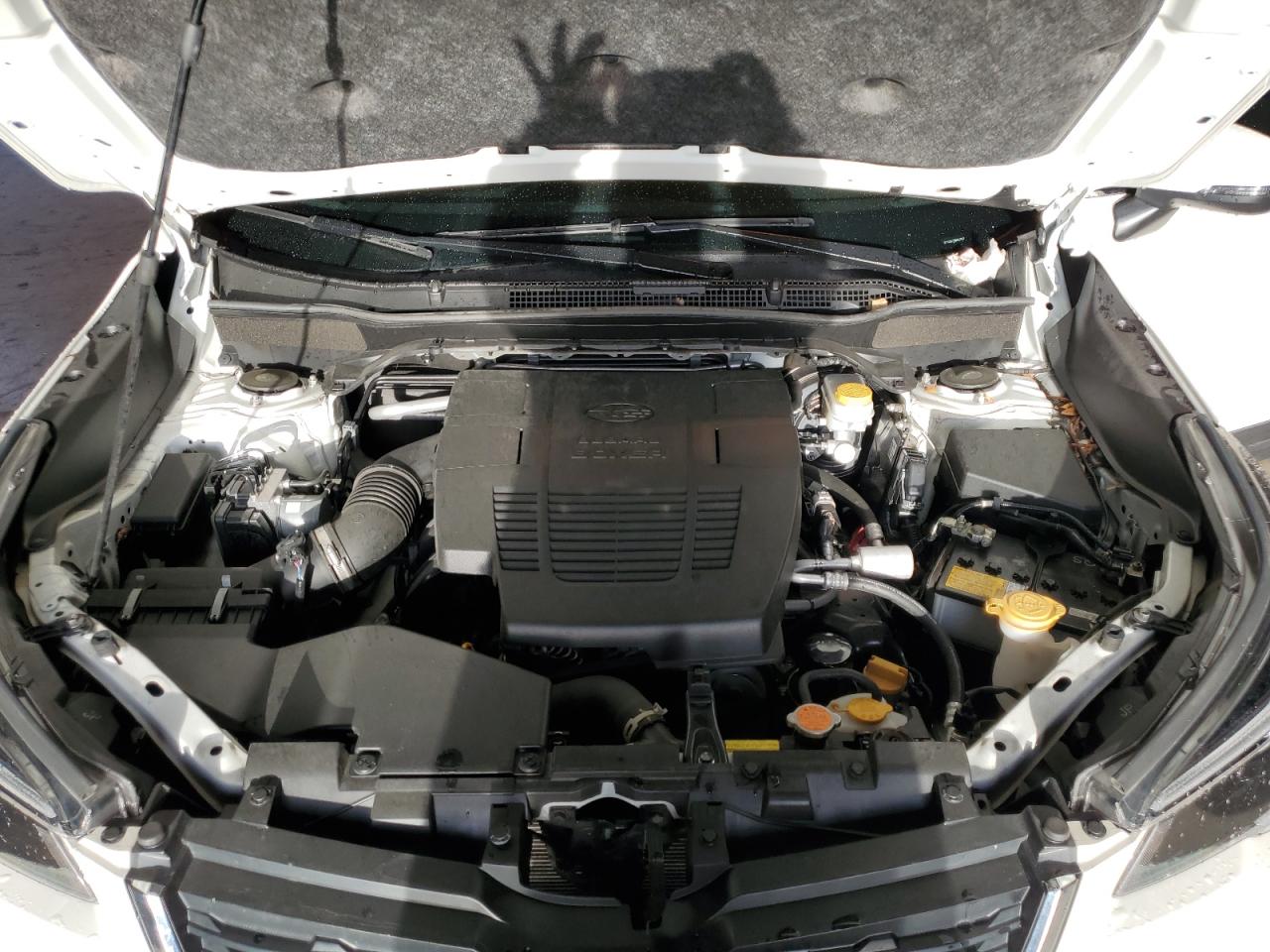 SUBARU FORESTER LIMITED