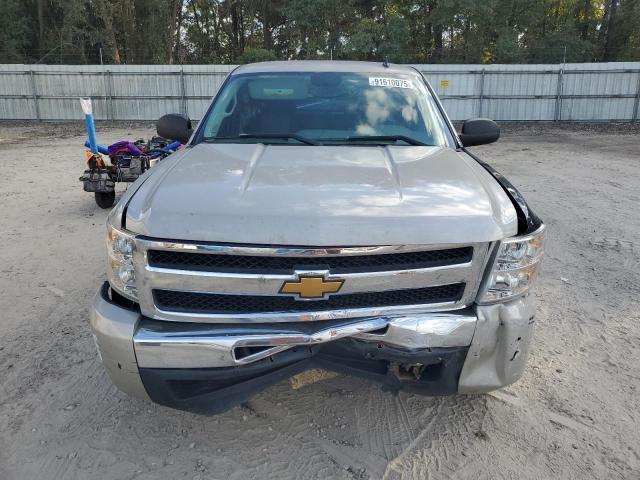 2009 CHEVROLET SILVERADO #3304430589