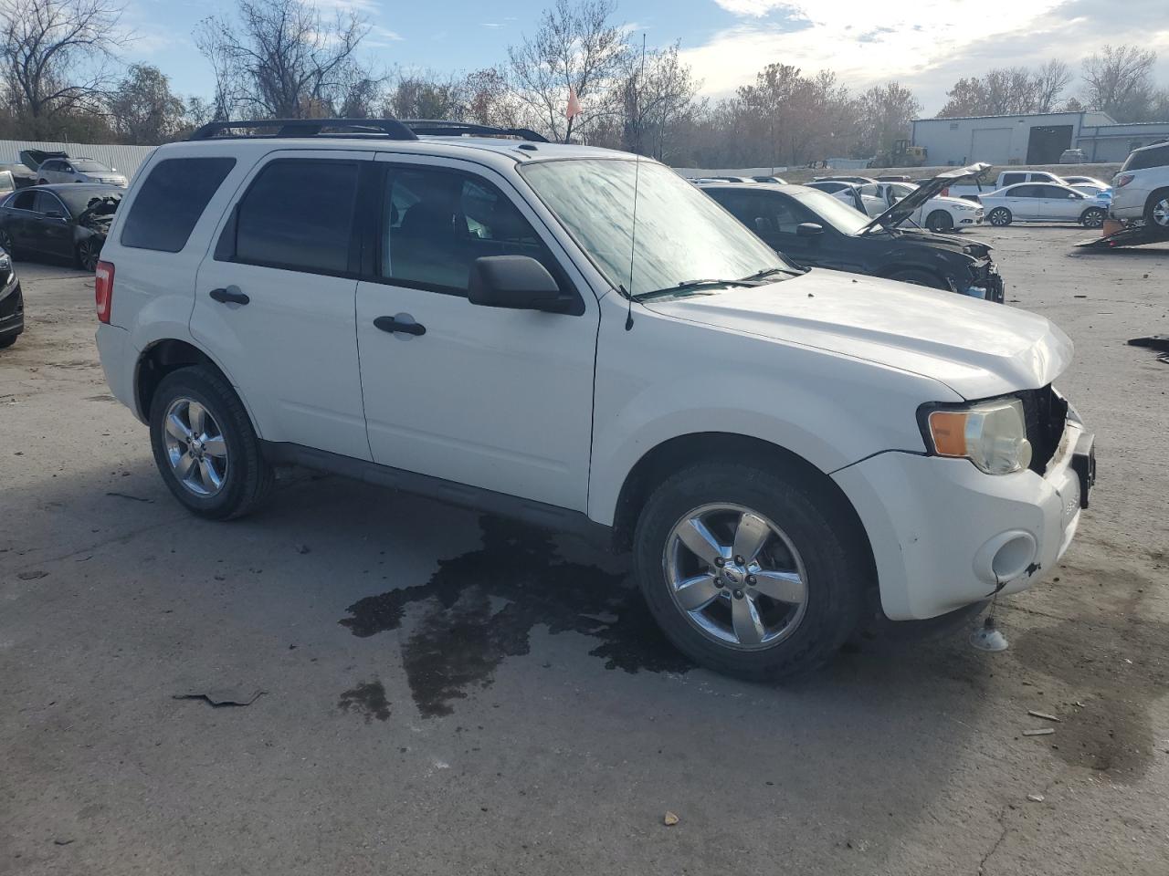 Lot #3298021142 2009 FORD ESCAPE XLT