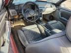 Lot #3301668623 1988 FORD MUSTANG GT