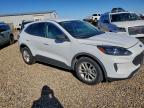 Lot #3296945869 2022 FORD ESCAPE SE