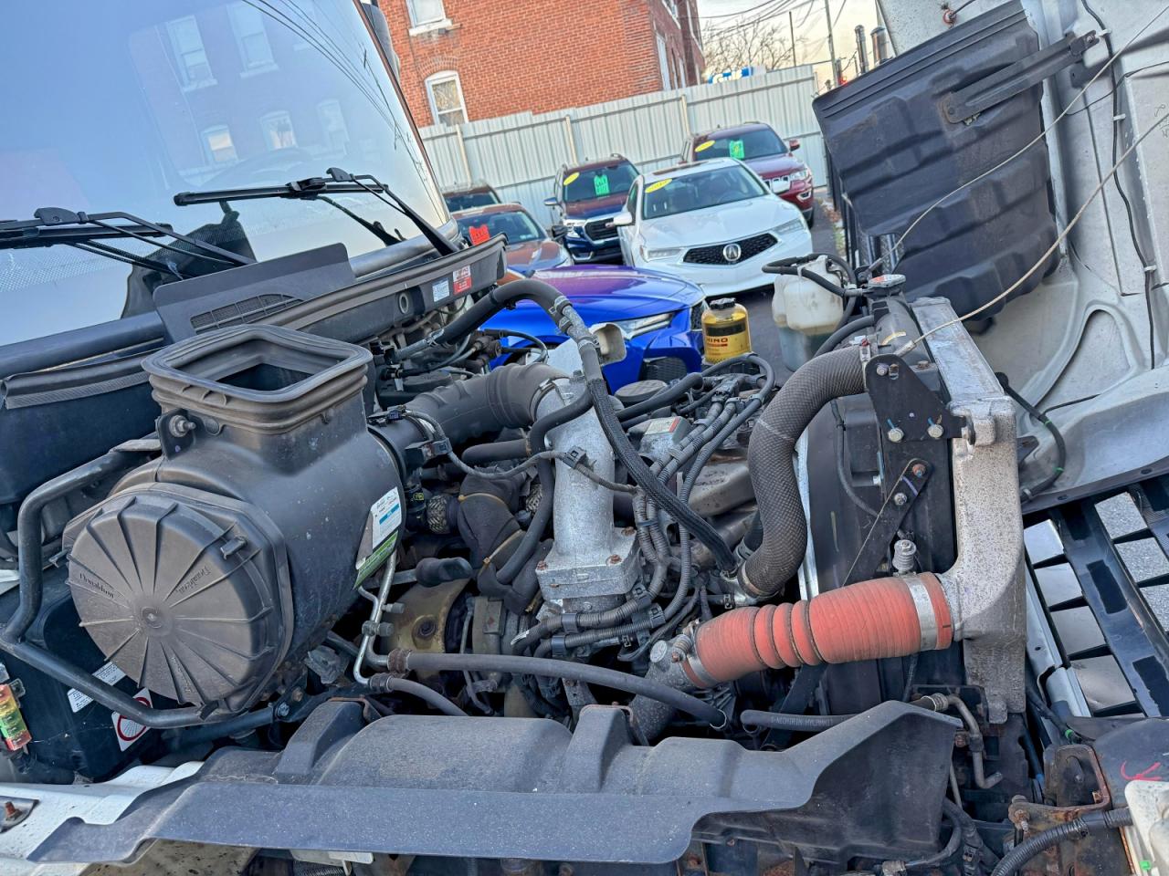 Lot #3297049494 2020 HINO 258/268