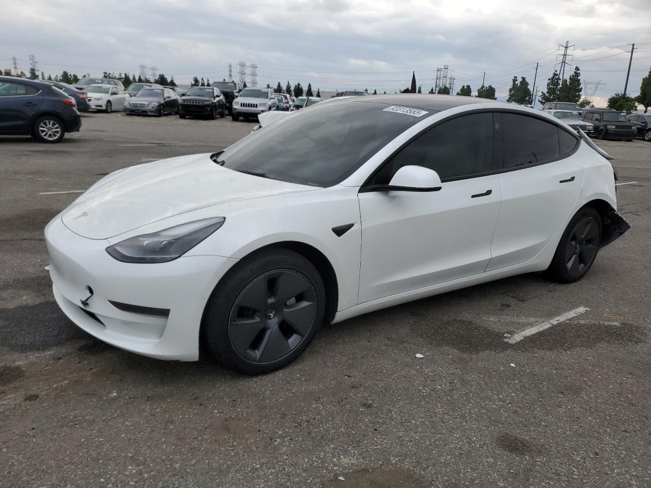 Lot #3298085140 2022 TESLA MODEL 3