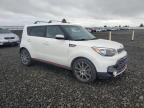 Lot #3296298477 2019 KIA SOUL !