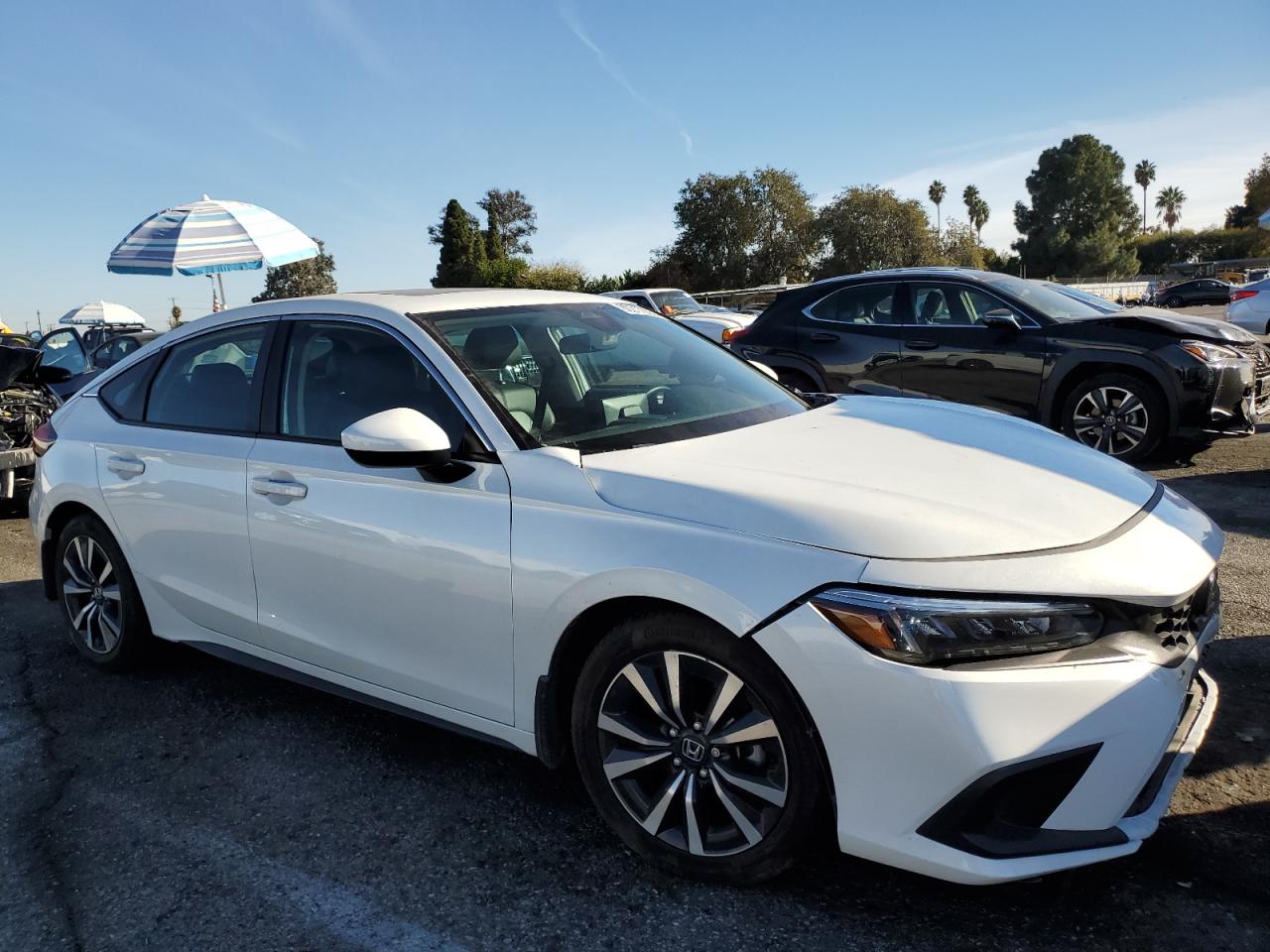 Lot #3316061241 2024 HONDA CIVIC EXL