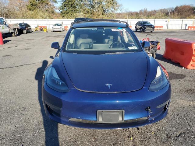 2023 TESLA MODEL 3 #3284629388