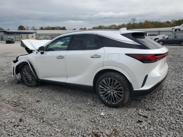 2024 LEXUS RX 350 BAS #3301819383