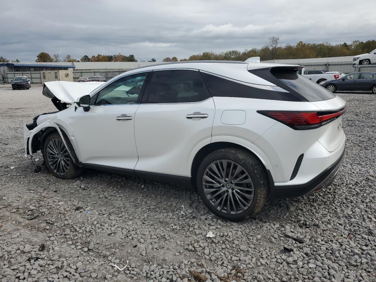 Lot #3301819383 2024 LEXUS RX 350 BAS